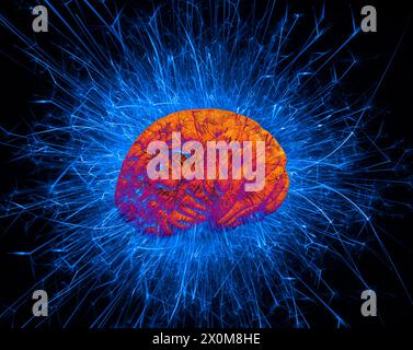 Cerveau actif, illustration conceptuelle. Banque D'Images