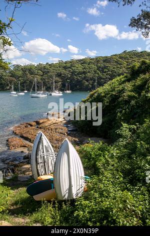 Taylors Bay isolée sur le port de Sydney, baie pittoresque avec des bateaux yachts amarrés dans la baie et de petits canots entreposés sur le rivage, Sydney, Australie Banque D'Images