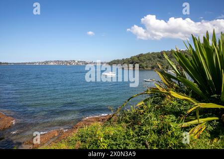 Taylors Bay Sydney, de Bradleys Head à Chowder Head Sydney Scenic Walk sur la rive nord, Nouvelle-Galles du Sud, Australie Banque D'Images