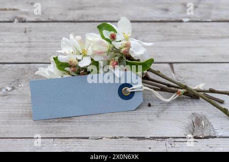 Branches de fleur de pomme et carte avec espace de copie sur un fond en bois Banque D'Images