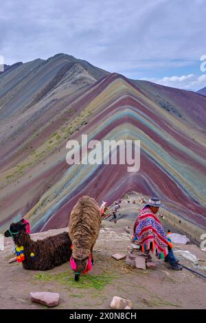 Pérou, province de Cuzco, Vinicunca, Montana de Siete Colores ou Rainbow Mountain, lama pour les touristes Banque D'Images