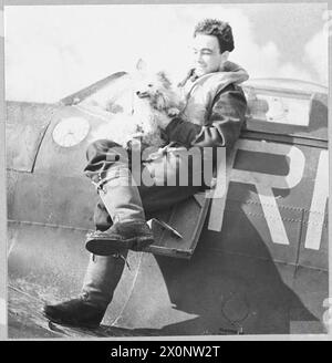 L'ARMÉE DE L'AIR POLONAISE EN GRANDE-BRETAGNE, 1940-1947 - L'officier pilote Józef Stasik du 303e Escadron de chasse polonais jouant avec Misia, la mascotte canine de l'Escadron, sur l'aile de son Spitfire à la RAF Northolt, 10 avril 1942 Forces aériennes polonaises, forces aériennes polonaises, 303e Escadron de chasse 'Kościuszko', Stasik, Józef Banque D'Images