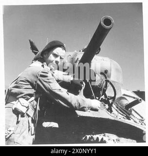 SEPT HOMMES ET Une FILLE EN ITALIE - 'le tankman' est le sergent A.G. Williams de Woodford Bridge, Essex. Il quitte l'Angleterre en novembre 1943, débarque en Afrique du Nord et de là est envoyé en Italie. Négatif photographique, Armée britannique Banque D'Images