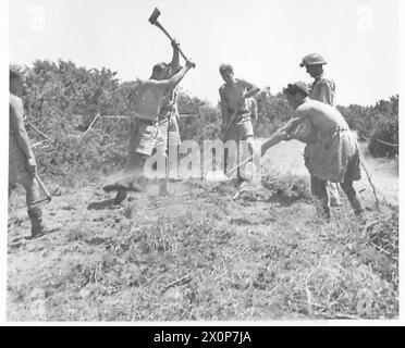 CINQUIÈME ARMÉE - TÊTE DE PONT ANZIO (DIVERS) - escouade R.E. prolongeant la route d'approvisionnement vers la rivière Moletta. Négatif photographique, Armée britannique Banque D'Images