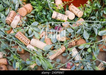 Vue de dessus de nombreux bouchons de vin de différentes marques : RIGA, LETTONIE - 15 JUIN 2023 Banque D'Images