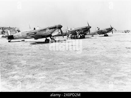 Trois Supermarine Spitfire Mark VC(T)s du No. 249 Squadron RAF sont prêts à être dispersés à Ta Kali, Malte entre 1940 et 1945. Négatif photographique, Royal Air Force. Banque D'Images