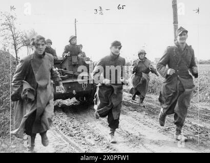 L'ARMÉE POLONAISE DANS LA CAMPAGNE D'EUROPE DU NORD-OUEST, 1944-1945 - prisonniers allemands du front Hooge Zwaluwe emmenés à toute vitesse par des troupes du 9e bataillon de fusils de Flandre (3e brigade d'infanterie, 1re division blindée polonaise) dans un porte-avions universel, fin octobre-début novembre 1944 Armée polonaise, forces armées polonaises à l'ouest, 1re division blindée, forces armées polonaises à l'ouest, 1re division blindée, 3e brigade d'infanterie, forces armées polonaises à l'ouest, 1re division blindée, 3e brigade d'infanterie, 9e bataillon de fusils de Flandre Banque D'Images