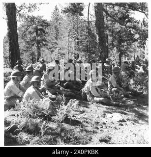 Les membres de la Société forestière de la Force volontaire chypriote prennent un repos pendant les opérations forestières parmi les pins. Négatif photographique de l'armée britannique. Banque D'Images