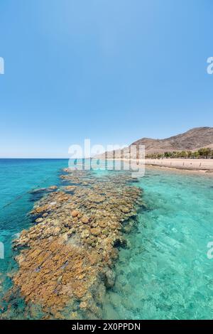 Coraux sous-marins le long de la plage vide sur la station populaire d'Eilat sur la mer Rouge en Israël. Banque D'Images