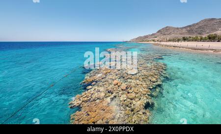 Coraux sous-marins le long de la plage vide sur la station populaire d'Eilat sur la mer Rouge en Israël. Banque D'Images