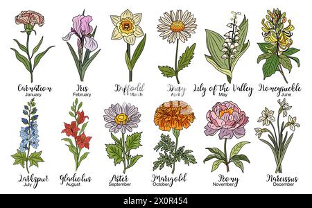 Ensemble de fleurs de mois de naissance colorées ligne parcourue Illustration de Vecteur