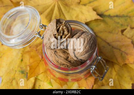 Composition d'automne avec des noix et des feuilles jaunes. Fond d'automne pour la conception. Banque D'Images