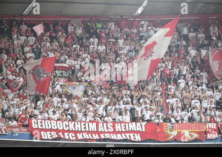 Munich, Allemagne. 13 avril 2024. MUNICH, ALLEMAGNE - 13 AVRIL : fans de 1. FC Koeln lors du match de Bundesliga entre le FC Bayern Muenchen et 1. FC Koeln à l'Allianz Arena le 13 avril 2024 à Munich, Allemagne.240413 SEPA 24 032 - 20240413 PD6197 crédit : APA-PictureDesk/Alamy Live News Banque D'Images