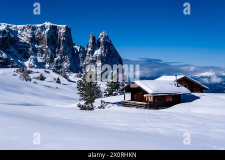 Campagne agricole vallonnée avec pâturages enneigés, arbres et cabanes en bois à Seiser Alm en hiver, sommets de Monte Petz et Sciliar dans le dis Banque D'Images