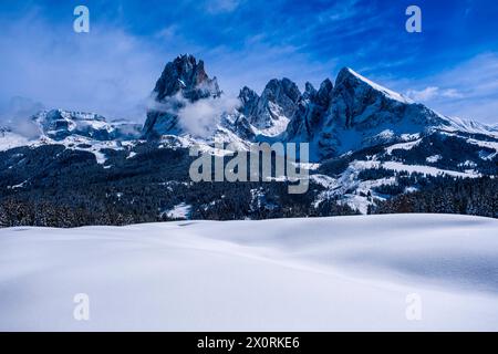 Campagne agricole vallonnée avec pâturages enneigés et arbres à Seiser Alm en hiver, sommets de Sassolungo et Sasso Piatto au loin. K Banque D'Images