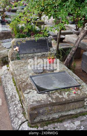 Dürer Grab Das Grab von Albrecht Dürer 1528 1681 auf dem Nürnberger Johannisfriedhof Hat die Grabnummer l 6-649. Auf dem Grabstein sind zwei Bronzetafeln angebracht mit Inschriften von Albrechts Dürers Schwiegereltern für die das Grab zuerst angelegt wurden. *** Dürers tombe la tombe d'Albrecht Dürer 1528 1681 à Nurembergs le cimetière Johannis porte le numéro de tombe l 6 649 il y a deux plaques de bronze sur la pierre tombale avec des inscriptions des beaux-parents d'Albrecht Dürers pour qui la tombe a été aménagée pour la première fois Banque D'Images