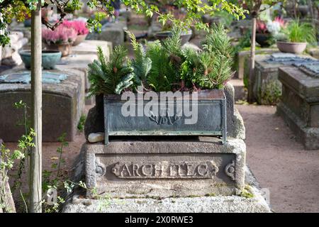 Dürer Grab Das Grab von Albrecht Dürer 1528 1681 auf dem Nürnberger Johannisfriedhof Hat die Grabnummer l 6-649. Auf dem Grabstein sind zwei Bronzetafeln angebracht mit Inschriften von Albrechts Dürers Schwiegereltern für die das Grab zuerst angelegt wurden. *** Dürers tombe la tombe d'Albrecht Dürer 1528 1681 à Nurembergs le cimetière Johannis porte le numéro de tombe l 6 649 il y a deux plaques de bronze sur la pierre tombale avec des inscriptions des beaux-parents d'Albrecht Dürers pour qui la tombe a été aménagée pour la première fois Banque D'Images