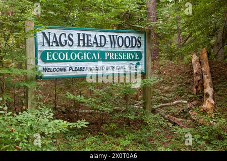 NAGS Head Woods, une réserve naturelle préservée. NAGS Head, Caroline du Nord. Banque D'Images