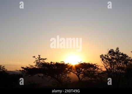 Magnifiques couchers de soleil africains pris dans le Lowveld Mpumalanga. Les teintes dorées et le ciel africain s'enflamment : explorez la magie du coucher de soleil au cœur de l'Afrique Banque D'Images