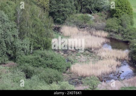 Kulturlandschaft im Ruhrgebiet Blick von der Burg Blankenstein, auf die Auenlandschaft im Ruhrtal. Der Ort liegt unmittelbar am Südufer der Ruhr, gegenüber der Stadt Bochum Hattingen Nordrhein-Westfalen Deutschland Blankenstein *** paysage culturel dans la région de la Ruhr vue depuis le château de Blankenstein du paysage des plaines inondables dans la vallée de la Ruhr le village se trouve directement sur la rive sud de la Ruhr, en face de la ville de Bochum Hattingen Rhénanie du Nord-Westphalie Allemagne Blankenstein Banque D'Images