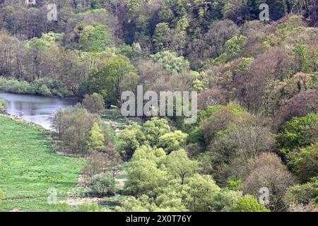 Kulturlandschaft im Ruhrgebiet Blick von der Burg Blankenstein, auf die Auenlandschaft im Ruhrtal. Der Ort liegt unmittelbar am Südufer der Ruhr, gegenüber der Stadt Bochum Hattingen Nordrhein-Westfalen Deutschland Blankenstein *** paysage culturel dans la région de la Ruhr vue depuis le château de Blankenstein du paysage des plaines inondables dans la vallée de la Ruhr le village se trouve directement sur la rive sud de la Ruhr, en face de la ville de Bochum Hattingen Rhénanie du Nord-Westphalie Allemagne Blankenstein Banque D'Images