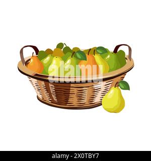 Panier en osier plein de poires orange, vertes et jaunes saines et juteuses isolées sur fond blanc. Illustration de fruits vectoriels dans un style plat. Été c Illustration de Vecteur