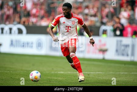 Alphonso Davies du Bayern Muenchen MUNICH, ALLEMAGNE - 13 AVRIL : match de Bundesliga entre le FC Bayern MŸnchen et 1. FC Kšln à l'Allianz Arena le 13 avril 2024 à Munich, Allemagne. FC Bayern Muenchen - 1 FC Kšln Fussball 1 . Bundesliga saison 2023 / 2024 © diebilderwelt / Alamy Stock Banque D'Images