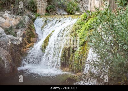 L'eau déverse des couches moussues dans un bassin tranquille, encadré par un feuillage vert, évoquant un sentiment de sérénité naturelle. Photo de haute qualité Banque D'Images