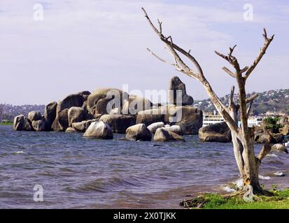 Blocs de granit de Bismarck Rock avec un arbre sans feuilles au premier plan et le lac Victoria en arrière-plan Banque D'Images