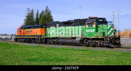 Mount Vernon, WA, États-Unis - 10 avril 2024 ; paire de locomotives de fret BNSF dans une livrée contrastante de peinture grren et orange Banque D'Images