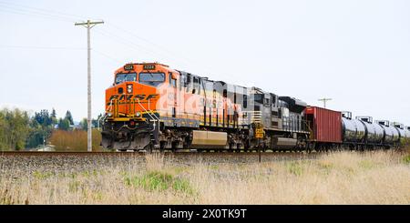 Stanwood, WA, États-Unis - 10 avril 2024 ; locomotive BNSF avec moteur Norfolk Southern sur un train pétrolier à Skagit Valley, Washington Banque D'Images