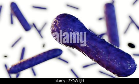 3e rendu de Clostridium botulinum isolé sur fond blanc Banque D'Images