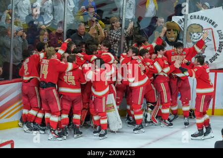 Minneapolis, Minnesota, États-Unis. 13 avril 2024. Denver célèbre après le match de championnat de hockey Frozen four masculin de la NCAA D1 2024 entre les Denver Pioneers et les Boston College Eagles au Xcel Energy Center en un lieu donné Paul, Minnesota, le 13 avril 2024. (Crédit image : © Steven Garcia/ZUMA Press Wire) USAGE ÉDITORIAL SEULEMENT! Non destiné à UN USAGE commercial ! Banque D'Images