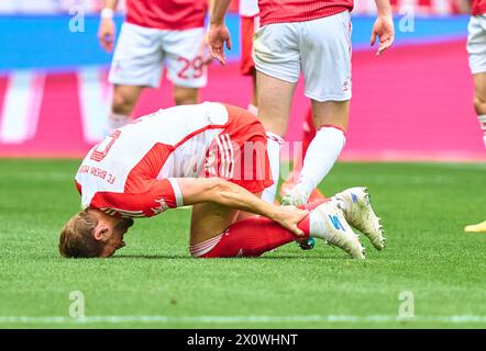 Harry Kane, FCB 9 dans le match FC BAYERN MUENCHEN - 1.FC Koeln 2-0 le 13 avril 2024 à Munich, Allemagne. Saison 2023/2024, 1.Bundesliga, FCB,, Muenchen, journée 29, 29.Spieltag photographe : ddp images / STAR-images - LA RÉGLEMENTATION DFL INTERDIT TOUTE UTILISATION DE PHOTOGRAPHIES comme SÉQUENCES D'IMAGES et/ou QUASI-VIDÉO - Banque D'Images