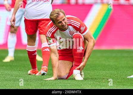 Harry Kane, FCB 9 dans le match FC BAYERN MUENCHEN - 1.FC Koeln 2-0 le 13 avril 2024 à Munich, Allemagne. Saison 2023/2024, 1.Bundesliga, FCB,, Muenchen, journée 29, 29.Spieltag photographe : ddp images / STAR-images - LA RÉGLEMENTATION DFL INTERDIT TOUTE UTILISATION DE PHOTOGRAPHIES comme SÉQUENCES D'IMAGES et/ou QUASI-VIDÉO - Banque D'Images