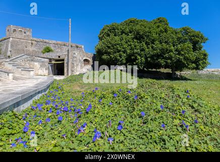 Le château aragonais dans la ville d'Otrante, province de Lecce, Pouilles, Italie Banque D'Images