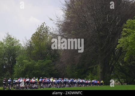 Valkenburg, pays-Bas. 14 avril 2024. Le peloton de coureurs photographié en action lors de la course cycliste d'une journée d'élite masculine 'Amstel Gold Race', 253, à 6 km de Maastricht à Valkenburg, pays-Bas, dimanche 14 avril 2024. BELGA PHOTO DIRK WAEM crédit : Belga News Agency/Alamy Live News Banque D'Images