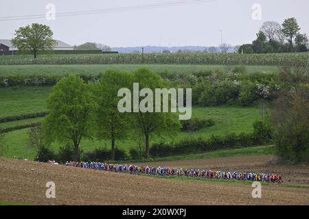 Valkenburg, pays-Bas. 14 avril 2024. Le peloton de coureurs photographié dans le paysage de Maastricht lors de la course cycliste d'une journée d'élite masculine 'Amstel Gold Race', 253, à 6 km de Maastricht à Valkenburg, pays-Bas, dimanche 14 avril 2024. BELGA PHOTO DIRK WAEM crédit : Belga News Agency/Alamy Live News Banque D'Images