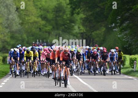 Valkenburg, pays-Bas. 14 avril 2024. Les coureurs d'INEOS Grenadiers mènent le peloton des coureurs lors de la course cycliste d'élite masculine 'Amstel Gold Race' d'une journée, 253, à 6 km de Maastricht à Valkenburg, pays-Bas, dimanche 14 avril 2024. BELGA PHOTO DIRK WAEM crédit : Belga News Agency/Alamy Live News Banque D'Images