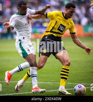 Mönchengladbach Allemagne. 13 avril 2024. Alassane Plea (BMG) Felix Nmecha (BVB) Borussia Moenchengladbach - Borussia Dortmund 13.04.2024 Copyright ( Banque D'Images