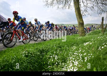 Valkenburg, pays-Bas. 14 avril 2024. Le peloton de coureurs photographié en action lors de la course cycliste d'une journée d'élite masculine 'Amstel Gold Race', 253, à 6 km de Maastricht à Valkenburg, pays-Bas, dimanche 14 avril 2024. BELGA PHOTO DIRK WAEM crédit : Belga News Agency/Alamy Live News Banque D'Images