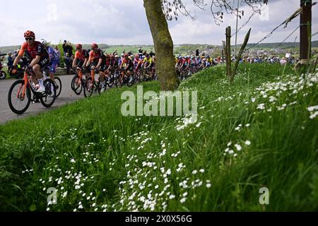 Valkenburg, pays-Bas. 14 avril 2024. Le peloton de coureurs photographié en action lors de la course cycliste d'une journée d'élite masculine 'Amstel Gold Race', 253, à 6 km de Maastricht à Valkenburg, pays-Bas, dimanche 14 avril 2024. BELGA PHOTO DIRK WAEM crédit : Belga News Agency/Alamy Live News Banque D'Images