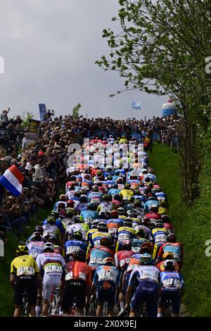 Valkenburg, pays-Bas. 14 avril 2024. Le peloton de coureurs photographié en action lors de la course cycliste d'une journée d'élite masculine 'Amstel Gold Race', 253, à 6 km de Maastricht à Valkenburg, pays-Bas, dimanche 14 avril 2024. BELGA PHOTO DIRK WAEM crédit : Belga News Agency/Alamy Live News Banque D'Images