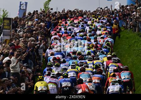 Valkenburg, pays-Bas. 14 avril 2024. Le peloton de coureurs photographié en action lors de la course cycliste d'une journée d'élite masculine 'Amstel Gold Race', 253, à 6 km de Maastricht à Valkenburg, pays-Bas, dimanche 14 avril 2024. BELGA PHOTO DIRK WAEM crédit : Belga News Agency/Alamy Live News Banque D'Images