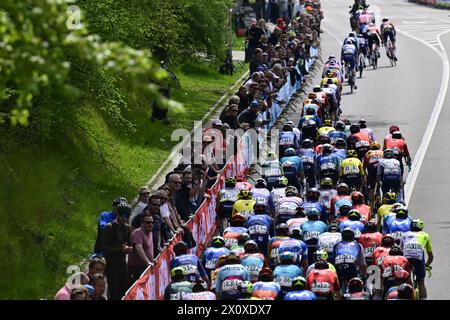 Valkenburg, pays-Bas. 14 avril 2024. Le peloton de coureurs photographié en action lors de la course cycliste d'une journée d'élite masculine 'Amstel Gold Race', 253, à 6 km de Maastricht à Valkenburg, pays-Bas, dimanche 14 avril 2024. BELGA PHOTO DIRK WAEM crédit : Belga News Agency/Alamy Live News Banque D'Images