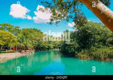 Vue partielle sur la rivière Formoso, dans la station municipale, à Bonito, dans le Mato Grosso do Sul Banque D'Images