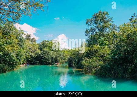 Vue partielle sur la rivière Formoso, dans la station municipale, à Bonito, dans le Mato Grosso do Sul Banque D'Images