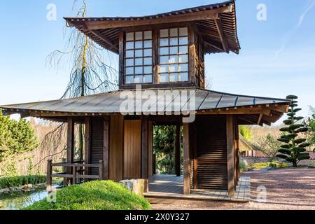 Réplique du petit temple japonais en bois à côté du ruisseau contre le ciel bleu, pavillon japonais dans le parc public néerlandais, journée ensoleillée du matin à Landgraaf, Sud Banque D'Images