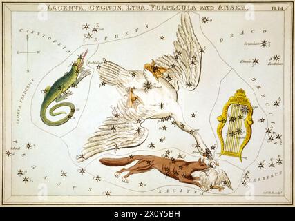 'Lacerta, Cygnus, Lyra, Vulpecula et Anser', planche 14 dans le miroir d'Urania, un ensemble de cartes célestes accompagnées d'Un traité familier sur l'astronomie ... Par Jehoshaphat Aspin. Londres. Carte astronomique, 1 impression sur carton stratifié : gravure, colorée à la main. 'Vulpecula and Anser' est essentiellement le nom complet de la constellation 'Vulpecula', maintenant standardisé dans sa forme abrégée. Banque D'Images