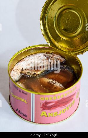 Grebbestads Ansjovis original, 450 g ; anchois suédois (sprats), boîte ouverte Banque D'Images